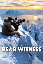 Şahitlik Etmek – Bear Witness Belgesel izle