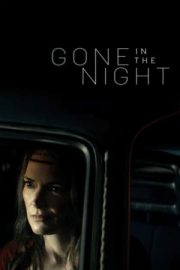 Gecede Kaybolmak – Gone in the Night