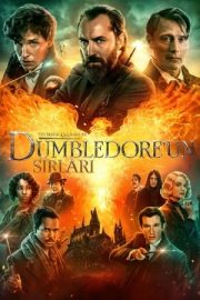 Fantastik Canavarlar: Dumbledore’un Sırları – Fantastic Beasts: The Secrets of Dumbledore