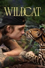 Yaban Kedisi – Wildcat