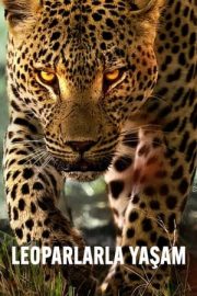 Leoparlarla Yaşam – Living with Leopards