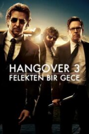 Felekten Bir Gece 3 – The Hangover Part 3