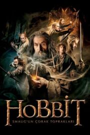 Hobbit 2: Smaug’un Çorak Toprakları – The Hobbit 2: The Desolation of Smaug