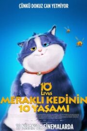 Meraklı Kedinin 10 Yaşamı – 10 Lives